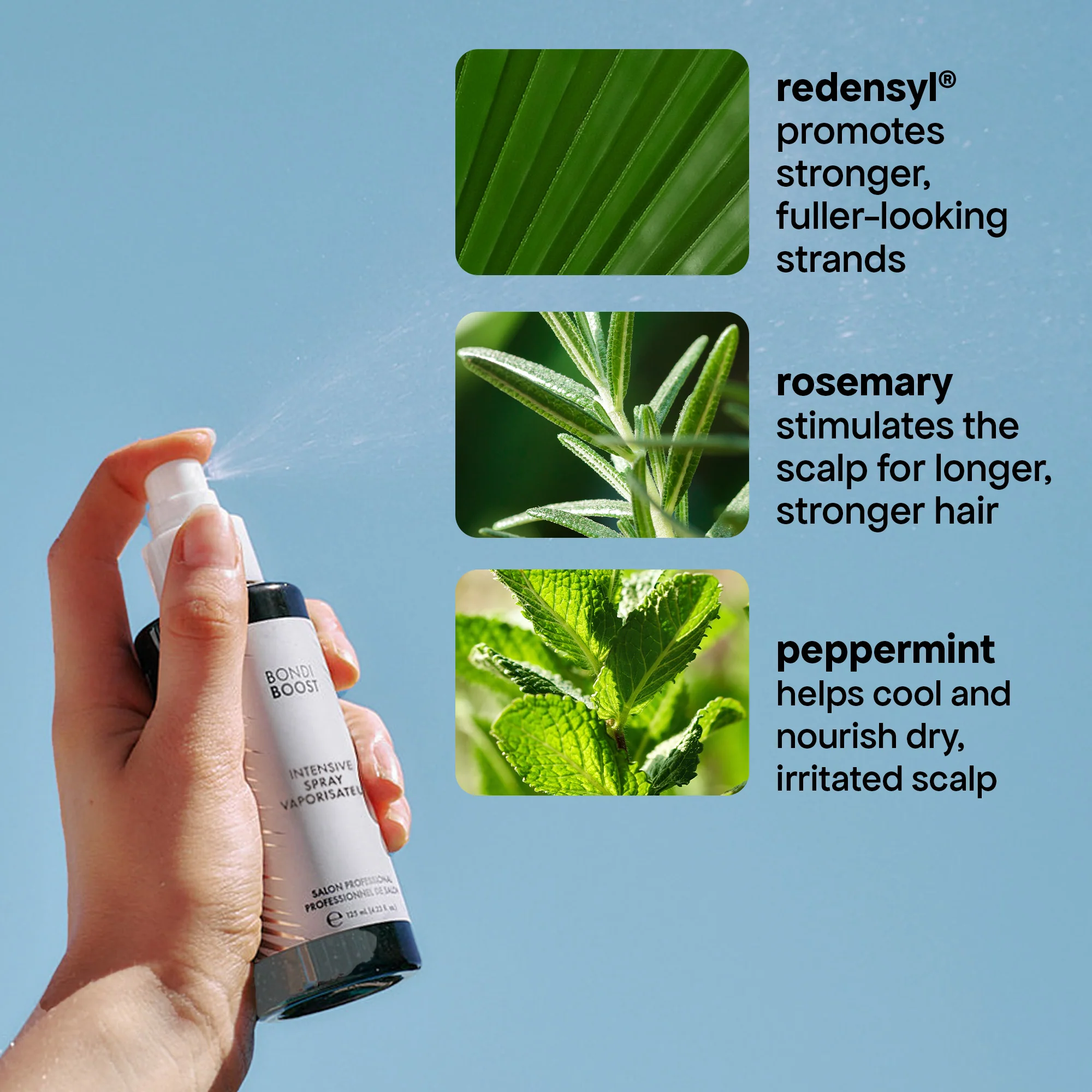 TREATMENT TRIO - Image 8